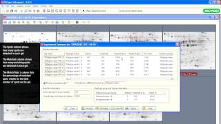 PDQuest™ Software Tutorials — Experiment Summary Tools for Spot Rematching [upl. by Cirre]