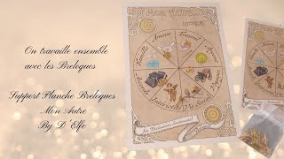 Tirage avec la planche Divinatoire des Breloques  Cartes  Pendule [upl. by Desimone]