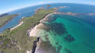 Sharks at Broughton Island [upl. by Froma]