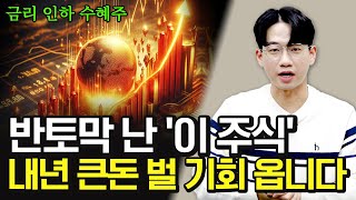 반토막 난 이 주식 내년에 큰돈 벌 기회 옵니다 2024년 주도주 될거에요 24년 주식 저평가 주식 [upl. by Nannette714]