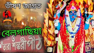 ভীষণ জাগ্রত কালী মন্দির। তাঁরাশঙ্করী পীঠ। Tara Shankari Pith। Belgachia Kolkata Tarapith [upl. by Itin325]