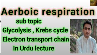 Topic  Aerobic Respiration  Class 9th  Biology  chapter 7 [upl. by Roath596]