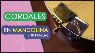 CORDALES ó Tira Cuerdas  En Mandolina [upl. by Stillmann]