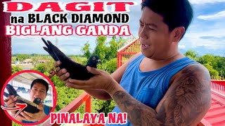 EP696  GANDANG DAGIT NITO PARANG BLACK DIAMOND PERO PALAYAIN NA NATEN [upl. by Anawat]