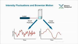 A basic introduction to Dynamic Light Scattering DLS for particle size analysis [upl. by Sihtnyc]