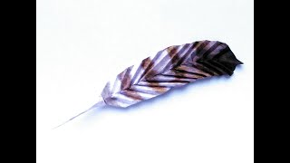 Origami Feather [upl. by Rehpinej]