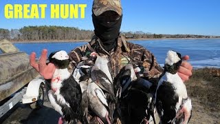 DUCK HUNTING BUFFLEHEAD  DIVER DUCKS [upl. by Jary]