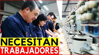 Tengo NUEVAS VACANTES de Trabajo en Canada La Empresa Paga los GASTOS  DesafioTorontoJC [upl. by Melloney]