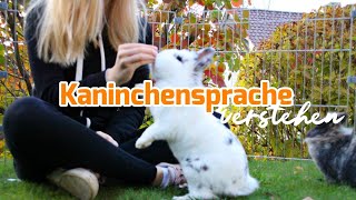 Kaninchensprache verstehen  Teil 1 [upl. by Assilym75]