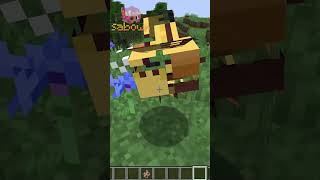 MINECRAFT BUG jai tout cassé  MINECRAFT [upl. by Lillian]