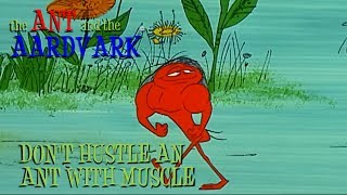 The Ant and the Aardvark in DonT Hustle An Ant With Muscle [upl. by Naro]