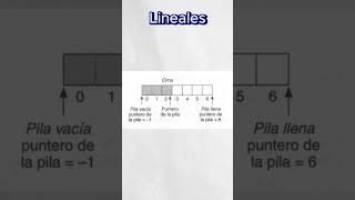 ¿Cuántas Estructuras de datos hay en programación programadores programacion devs [upl. by Thursby]