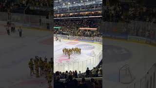 NOTTINGHAM PANTHERS celebrate win v Guildford Flames😼 hockey hockeyfan hockeyshorts hockeygame [upl. by Morra]