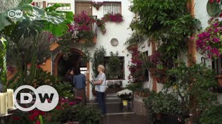 The patios of Córdoba  DW English [upl. by Marler]