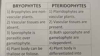 Difference Between Bryophytes And PteridophytesClass Series [upl. by Eimoan]