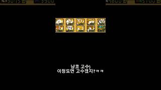 고수와 고인물의 덱 차이 냥코대전쟁battlecats [upl. by Irok]