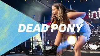 Dead Pony  23 Never Me BBC Music Introducing at Glastonbury 2022 [upl. by Micco97]