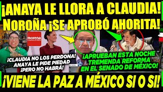 MIÉRCOLES ¡ANAYA PIDE PIEDAD A CLAUDIA NOROÑA ¡APROBADO PAZ EN MÉXICO ¡SI O SI A LA FUERZA [upl. by Leafar183]