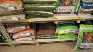 Pine Pellet Litter For Your Savannah Cat [upl. by Yaya]