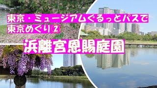 浜離宮恩賜庭園【東京おでかけvlog】東京・ミュージアムぐるっとパスで庭園や美術館をめぐりました。徳川家の庭園、浜離宮恩賜庭園は潮入の池にかかるお伝い橋の藤棚の藤がきれいでした。 [upl. by Arriec229]