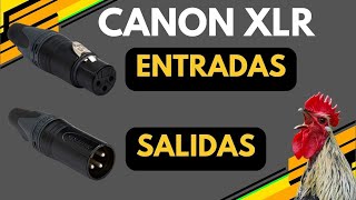 Entendiendo el Conector Canon XLR  Orden de Conexiones  Conectando Audio Activo ft Gallo Gritón [upl. by Nortad]