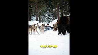 Man Joins Wolf Pack You Wont Believe What Happens Next 😱 [upl. by Aivin]