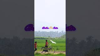 Brother sister whatsapp status unkoodave porakkanum song tamil [upl. by Atimed]