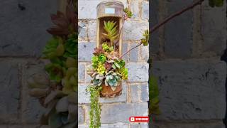 Easy Decorative Plants Pot DIY 🎍 planterdecor indoorgarden decoration bamboodecor [upl. by Anahs428]