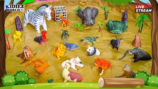 Herbivores Carnivores and Omnivores Animals for Kids Fun Learning Educational Video [upl. by Neened268]