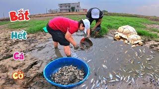 Rủ Ngọc Mai Đi Bắt Hết Cá Cờ Ngoài Đồng Và Trả Lại Rùa Bác Long  Quế Nghịch [upl. by Georgia]