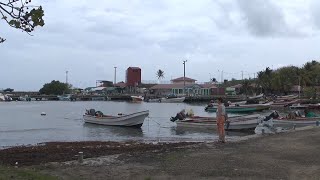 Martinique lile au fleurs [upl. by Luy253]