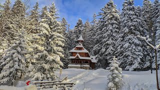 Zakopane  zima stulecia 2019  shot on DJI Osmo pocket cinematic Winter in Europe [upl. by Marylinda]