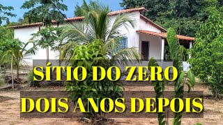 MOSTRANDO TUDO COMO ESTÁ O SÍTIO DO ZERO DEPOIS DE DOIS ANOS [upl. by Eirameinna]