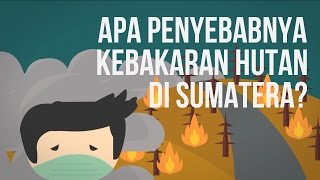 Apa Penyebab Kebakaran Hutan di Sumatera MelawanAsap [upl. by Einnal605]