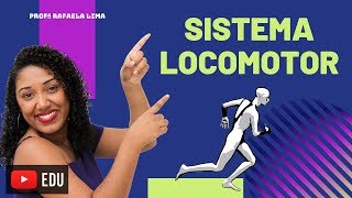 Sistema Locomotor esqueleto e músculos [upl. by Goff659]