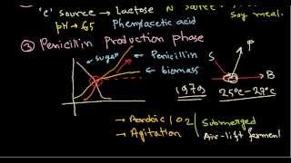 Penicillin production  industrial production [upl. by Ahtamas]