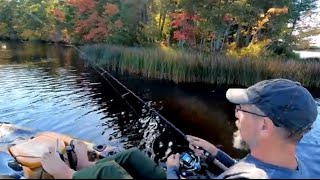 3 Days of Car Camping and Kayaking in the New Jersey Pine Barrens asmrpinebarrens carcampingfyp [upl. by Id]