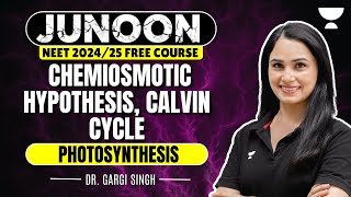 Photosynthesis  Chemiosmotic Hypothesis Calvin Cycle  NEET 2024  Dr Gargi Singh [upl. by Nannie]