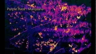 Binaural Beats  Marijuana High THC Beat Purple Haze Digital Drug [upl. by Adnamar]