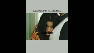 Warisha plan is successful 🎉👏laibakhan aafat shots status [upl. by Gen41]