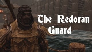 Skyrim Builds  The Redoran Guard [upl. by Nawuq]