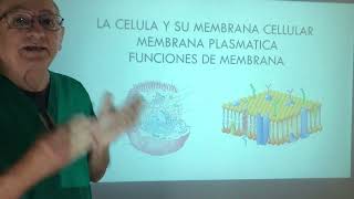 Membrana Celular Fisiología molecular Mecanismos de membrana GPT control [upl. by Buckingham476]