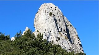 Sortie botanique au Pilon du Roi Bouches du Rhône fin juin [upl. by Kersten]