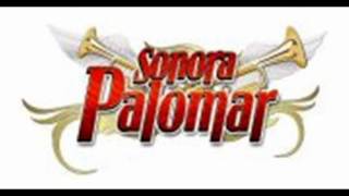 Sonora Palomar Mix Dj Snoow Sabor Cumbianchero Mix [upl. by Anairol]