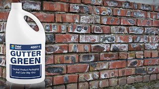 Brick Efflorescence Removal  What To Buy To Remove Efflorescence [upl. by Gamaliel]