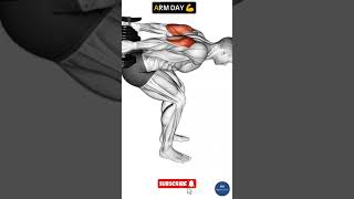 ARM WORKOUT  Home Workout fitnessroutine homeworkout gym viral [upl. by Remington889]