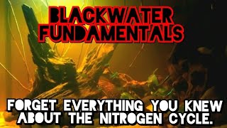 BLACKWATER How to Safely Set Up Low Ph High Tannin Acidic Aquariums The World of Archaea amp Fungi [upl. by Dena]