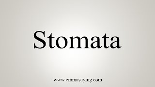 How To Say Stomata [upl. by Ativahs]