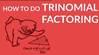 ʕ•ᴥ•ʔ Learn Trinomial Factoring with an Easy to Understand Example [upl. by Driskill]