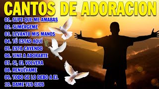 PODEROSAS CANCIONES CRISTIANAS PARA LIBERAR TU MENTE Y EL CORAZÓN 🕊️🕊️ SUPE QUE ME AMABAS 🙏🙏 [upl. by Suolkcin]